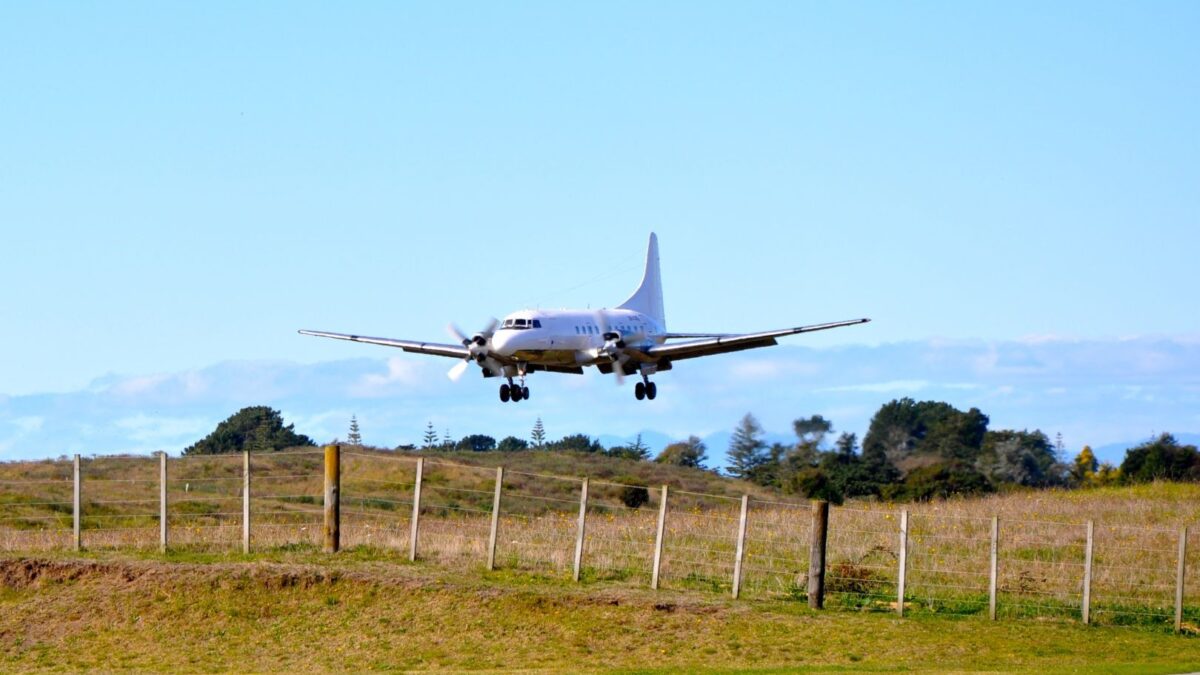 NZ’s Air Chathams Sees Growth In Regional Services